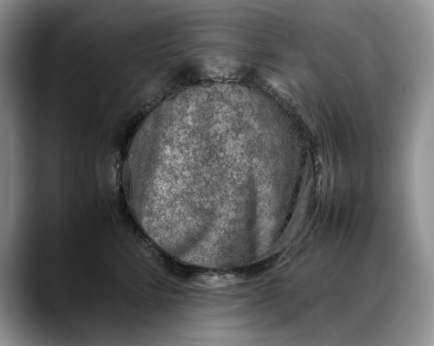 X0000088420712200706121432