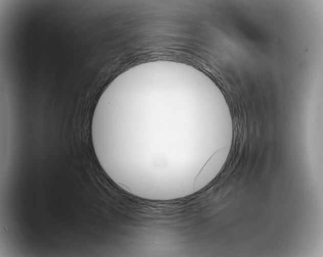 X0000088420713200706121432