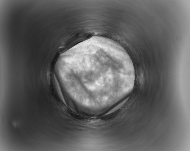 X0000088420716200706121432