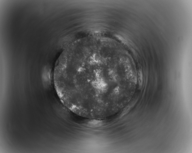 X0000088420718200706121432