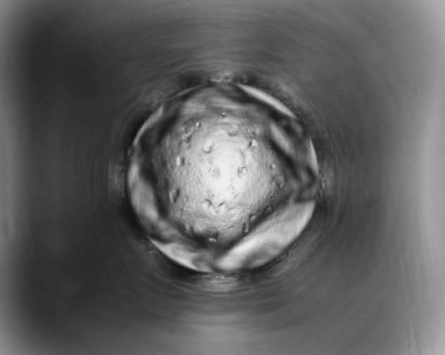X0000088420719200706121432