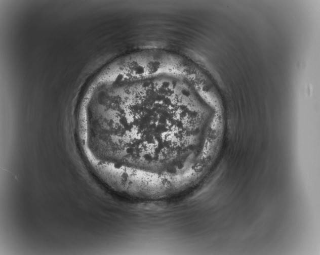 X0000088420721200706121432