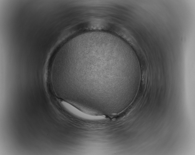 X0000088420722200706121432