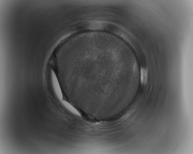 X0000088420723200706121432