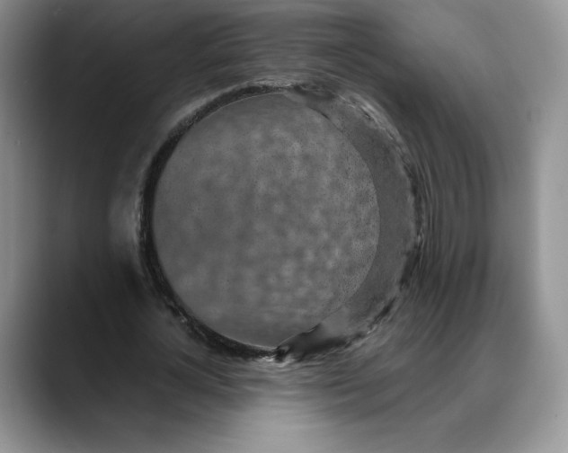 X0000088420724200706121432