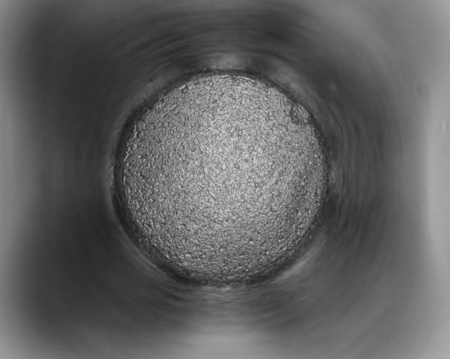 X0000088420725200706121432