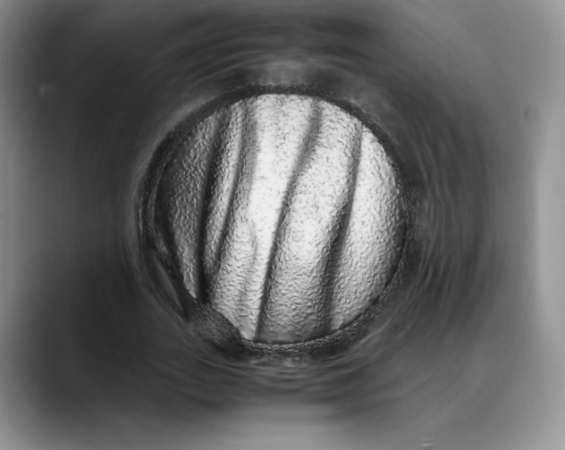 X0000088420727200706121432