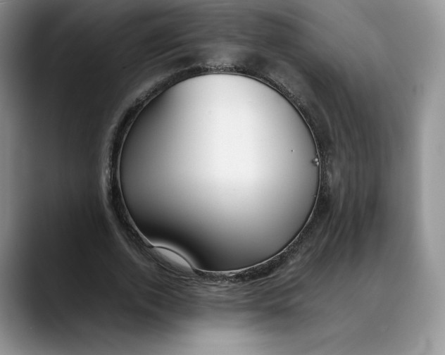 X0000088420728200706121432