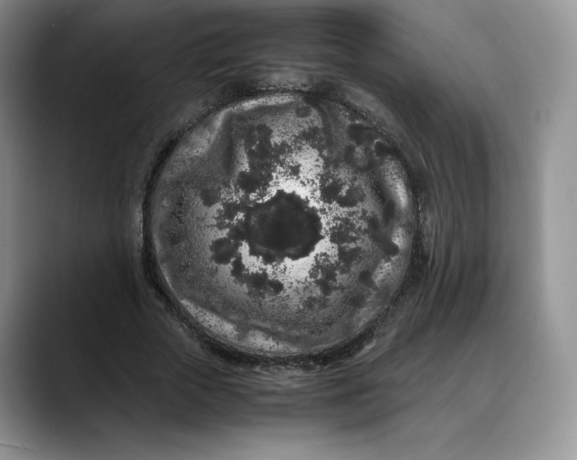 X0000088420729200706121432