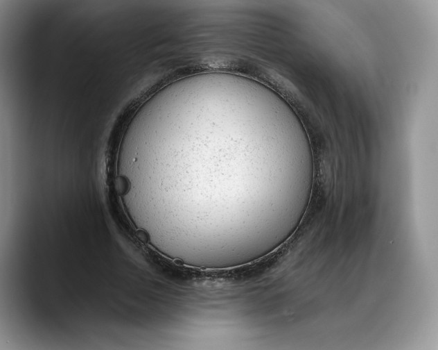 X0000088420730200706121432