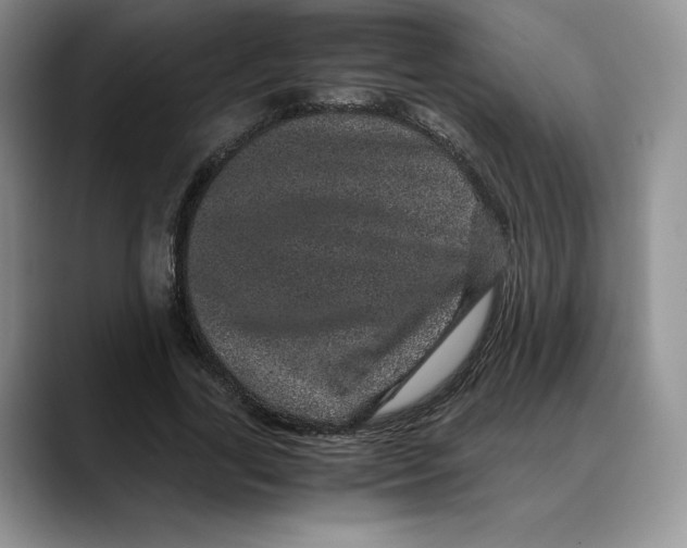 X0000088420731200706121432