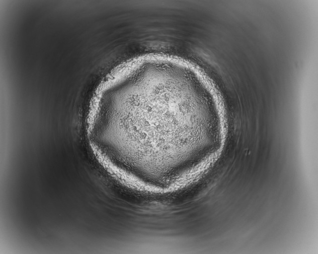X0000088420737200706121432