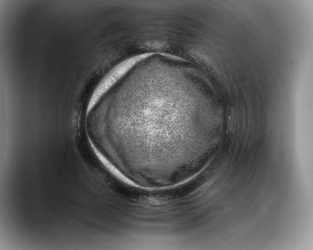 X0000088420739200706121432