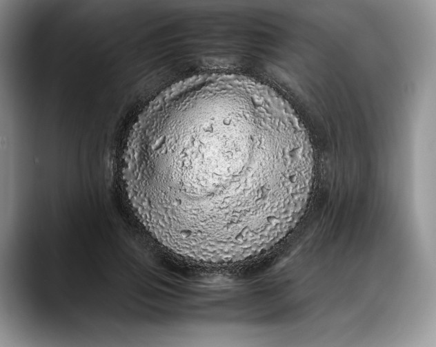 X0000088420741200706121432