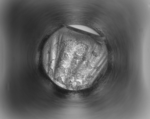 X0000088420742200706121432