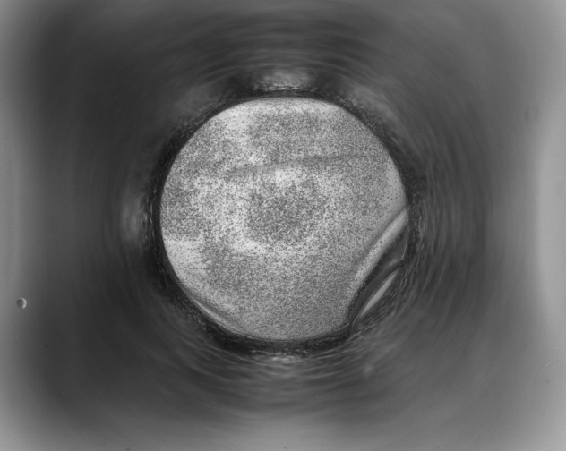 X0000088420743200706121432