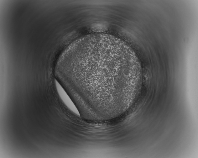 X0000088420745200706121432
