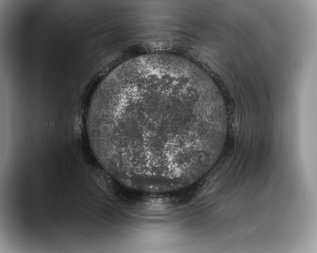 X0000088420746200706121432