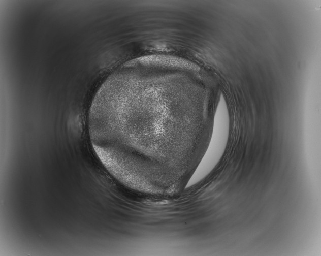 X0000088420747200706121432