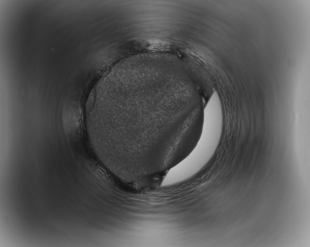 X0000088420748200706121432