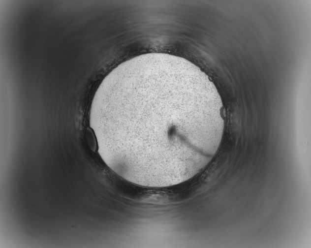 X0000088420750200706121432