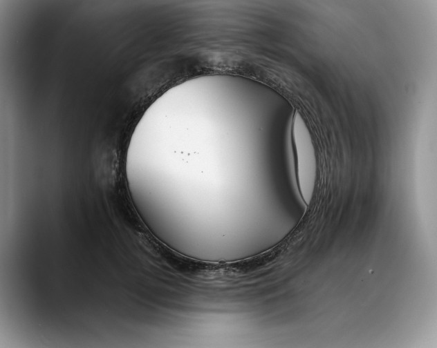 X0000088420752200706121432