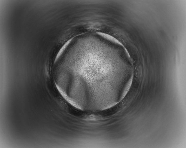 X0000088420755200706121432