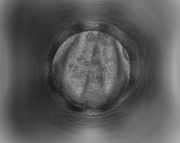 X0000088420758200706121432