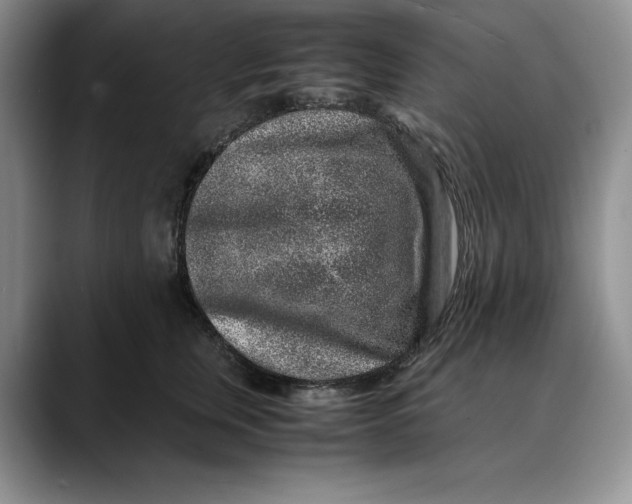 X0000088420759200706121432