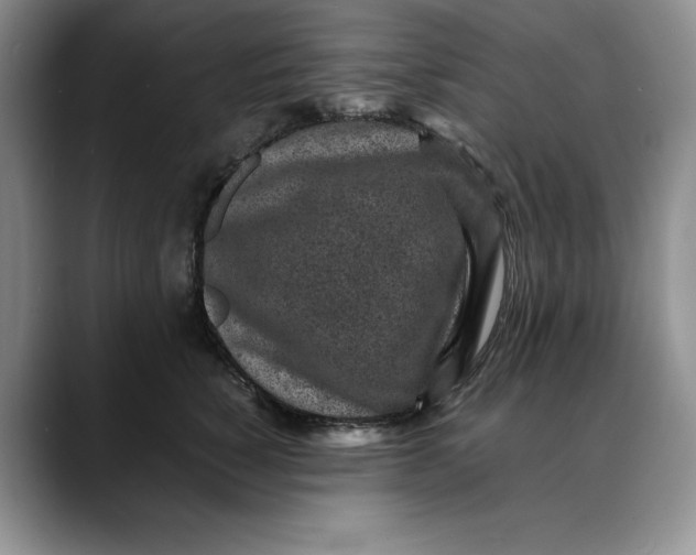X0000088420760200706121432