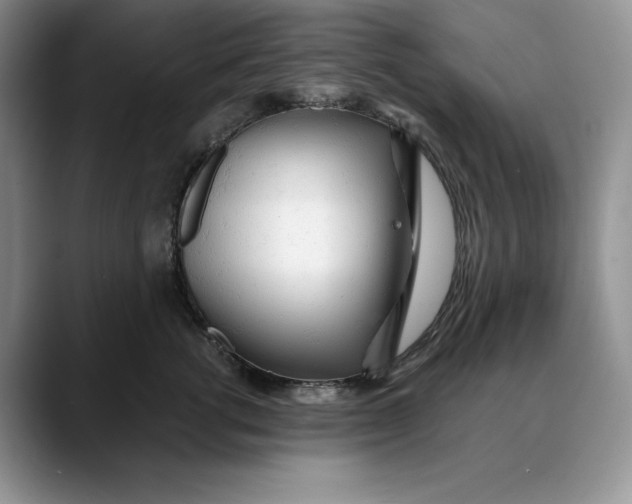 X0000088420762200706121432