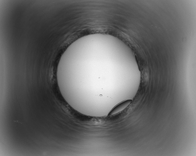 X0000088420764200706121432