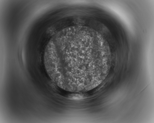 X0000088420765200706121432