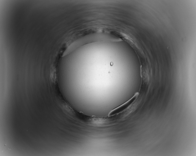 X0000088420766200706121432
