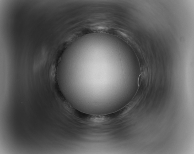 X0000088420767200706121432