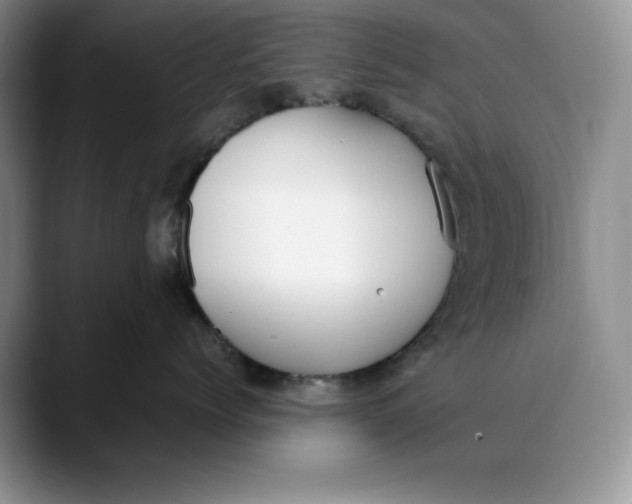 X0000088420768200706121432