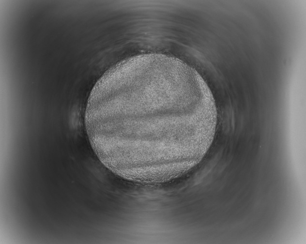 X0000088420770200706121432