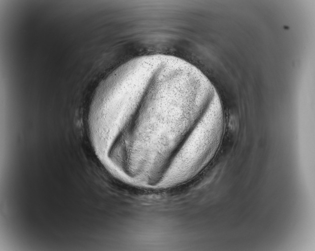 X0000088420771200706121432
