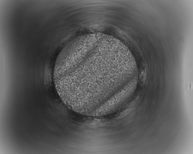 X0000088420772200706121432