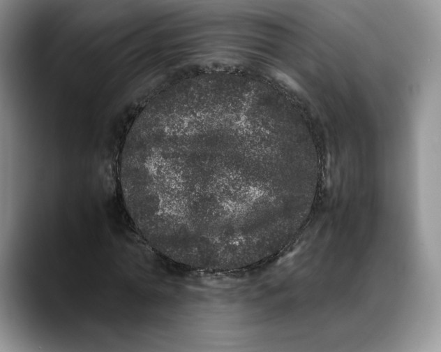 X0000088420774200706121432