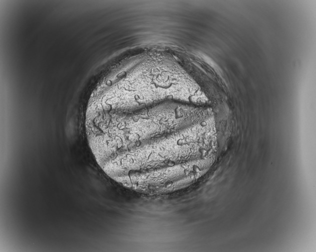 X0000088420775200706121432