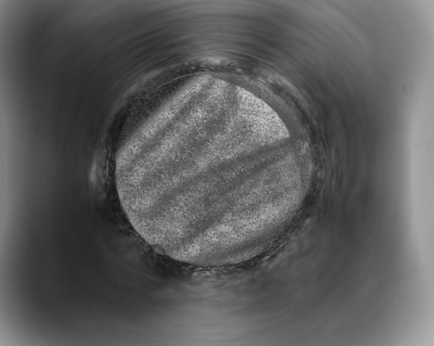 X0000088420776200706121432