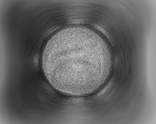 X0000088420778200706121432