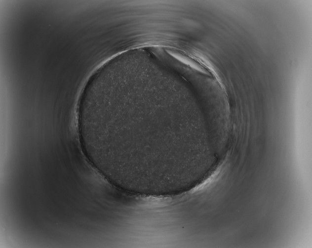 X0000088420779200706121432