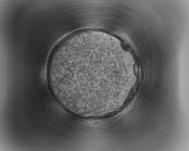 X0000088420780200706121432