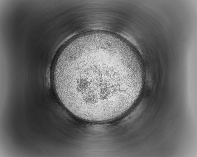 X0000088420782200706121432