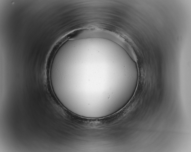 X0000088420784200706121432