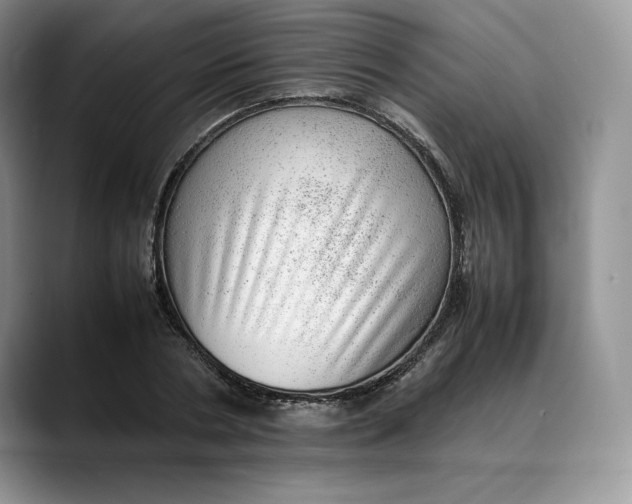 X0000088420786200706121432
