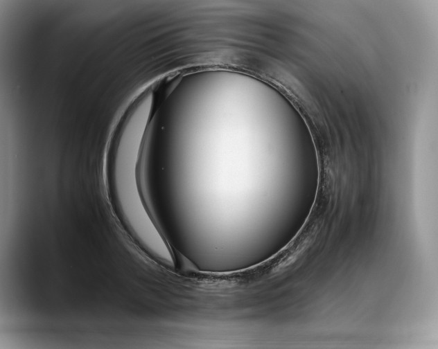 X0000088420788200706121432