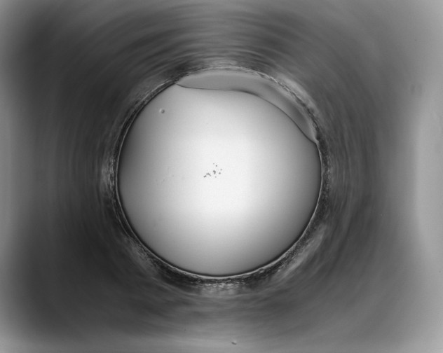 X0000088420793200706121431
